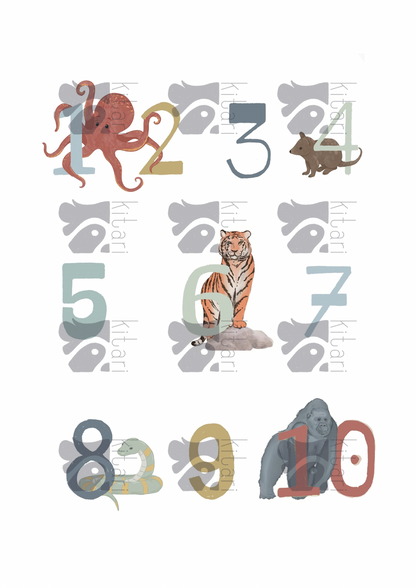 Poster-Set "Tierwunder"